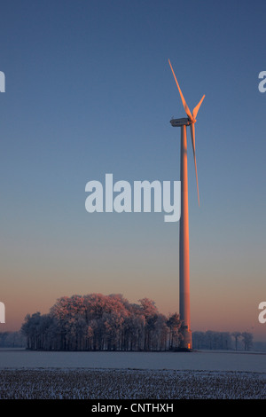 Inverno mattina nel Muensterland con vento ruota, in Germania, in Renania settentrionale-Vestfalia, Steinfurt Foto Stock