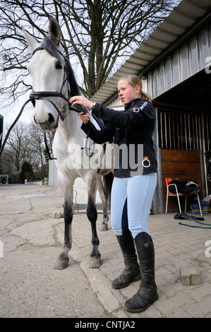 Cavallo andaluso (Equus przewalskii f. caballus), ragazza briglia un cavallo, Germania Foto Stock