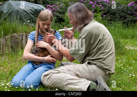 Il capriolo (Capreolus capreolus), fulvo nelle braccia di una ragazza è alimentato, Germania Foto Stock