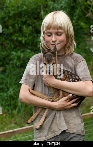 Il capriolo (Capreolus capreolus), fulvo nel braccio di un ragazzo, Germania Foto Stock