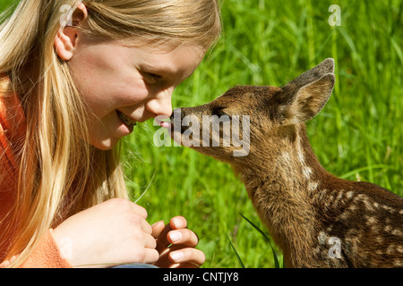 Il capriolo (Capreolus capreolus), fulvo leccare la ragazza anteriore, Germania Foto Stock