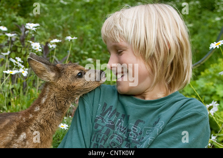 Il capriolo (Capreolus capreolus), ragazzo con capretta in Garten Foto Stock