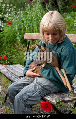 Il capriolo (Capreolus capreolus), ragazzo seduto su una panchina da giardino con un cerbiatto sul giro, Germania Foto Stock