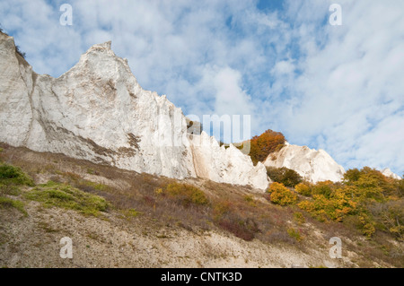 Chalk cliffs sull isola Moen, Danimarca, Moen Foto Stock