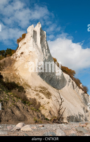 Chalk cliffs sull isola Moen, Danimarca, Moen Foto Stock