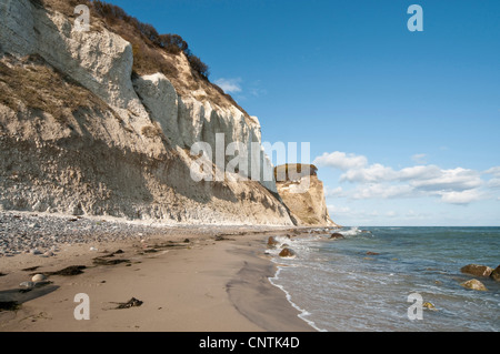 Chalk cliff e costa sull isola Moen, Danimarca, Moen Foto Stock