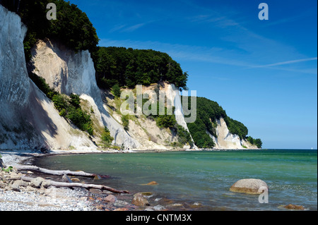 Chalk cliff in Jasmund National Park, Germania, Meclemburgo-Pomerania, Jasmund National Park, Ruegen Foto Stock