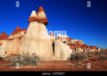 Blue Canyon, rosso e bianco calcare, USA, Arizona Foto Stock