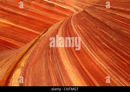 Pietra arenaria, dettaglio, STATI UNITI D'AMERICA, Arizona, Coyote Buttes North Foto Stock