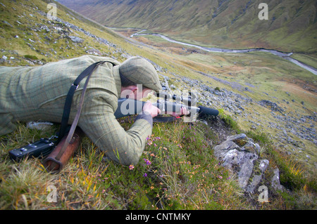 Stalker giacente sul ventre in corrispondenza del bordo di un pendio a monte puntando verso il basso nella valle con la sua pistola, Regno Unito, Scozia, Sutherland, Alladale deserto riserva Foto Stock