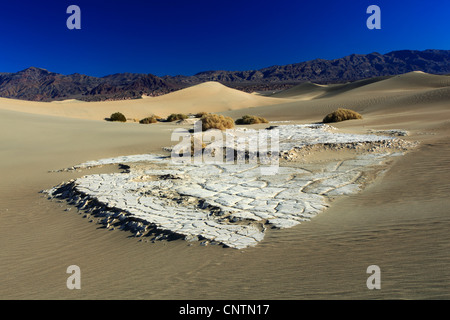 Mesquite Appartamenti dune di sabbia, Stati Uniti, California, Parco Nazionale della Valle della Morte Foto Stock