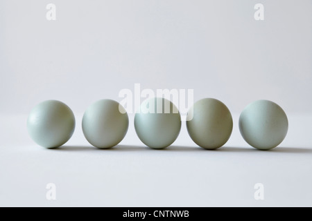 Close up di uova allineate Foto Stock