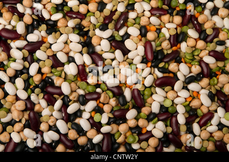 Misto di fagioli secchi per uno sfondo colorato. Foto Stock