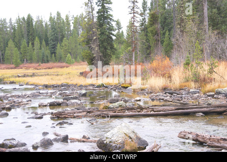 Rocce di fiume nel letto di ruscello, vicino al lago di stringa, il Parco Nazionale del Grand Teton,Wyoming Foto Stock