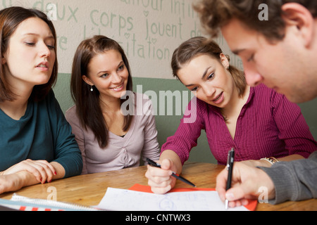 Gli studenti che studiano insieme in cafe Foto Stock