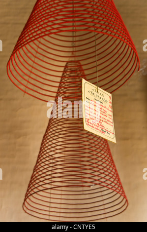 Chiudere verticale delle bobine di incenso al Hội Quán Quảng Triệu, Quang Trieu Assembly Hall, nel centro di Hoi An, Vietnam Foto Stock