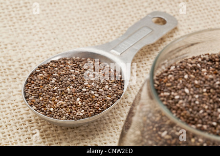 Semi di chia nel vasetto di vetro e sulla misurazione di alluminio cucchiaio contro lo sfondo di tela, focus sul cucchiaio Foto Stock