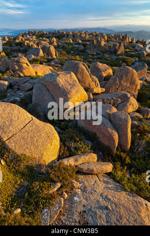 Tramonto sui massi di dolerite sulla vetta del Monte Wellington Tasmania Australia Foto Stock