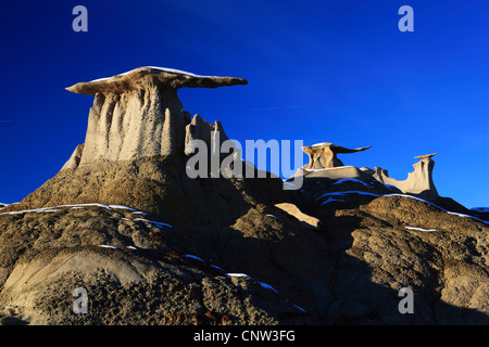 Bisti Badlands, monolito di pietra arenaria, USA, New Mexico, Bisti deserto Foto Stock