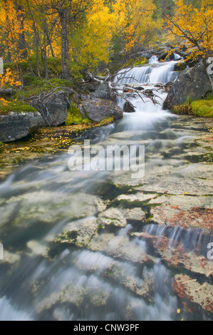 Serie di cascate in esecuzione attraverso antiche foreste boreali in Atndalen, Norvegia, Sor-Trondelag, Stor-elvdal Foto Stock