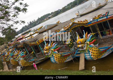 Vista orizzontale di imbarcazioni decorate con teste a prua ormeggiati lungo la riva del profumo o Huong River in tinta, Vietnam Foto Stock