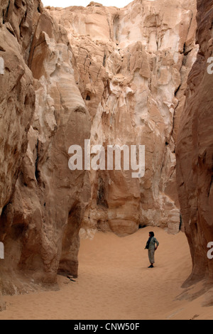 Formazioni di arenaria nel Canyon Bianco, Egitto, Sinai Foto Stock