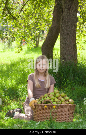 Apple tree (malus domestica), la ragazza seduta sotto un albero di mele con un grosso cesto pieno di mele Foto Stock