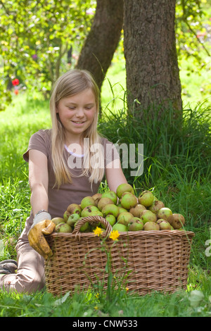 Apple tree (malus domestica), la ragazza seduta sotto un albero di mele con un grosso cesto pieno di mele Foto Stock