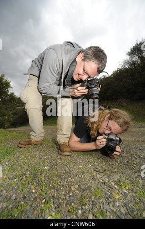 Tre-toed skink, algerini cilindrica (skink Chalcides chalcides), due fotografi di natura prendendo un colpo di un skink, Italia Sardegna Foto Stock