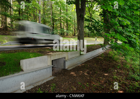 Il rospo permanente recinto con tunnel in corrispondenza di una strada, in Germania, il Land Brandeburgo Foto Stock