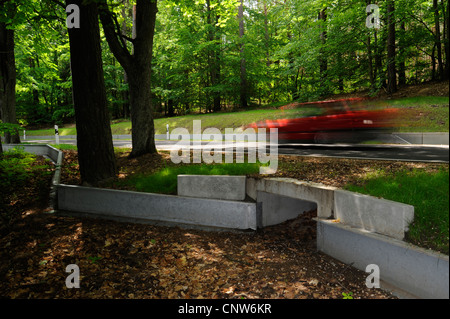 Il rospo permanente recinto con tunnel in corrispondenza di una strada, in Germania, il Land Brandeburgo Foto Stock