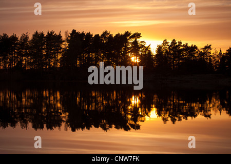 Foresta, tramonto e riflessi nel lago Vansjø in Østfold, Norvegia. Vansjø è una parte dell'acqua sistema chiamato Morsavassdraget. Foto Stock