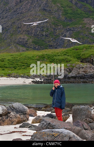 Arctic Tern (sterna paradisaea), ragazza nei pressi del nido ist attaccato da arctic tern, proteggere se stessa con un bastone, Norvegia, Vesteralen, Hovd Foto Stock