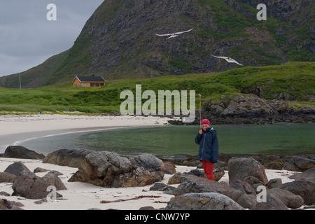 Arctic Tern (sterna paradisaea), ragazza nei pressi del nido ist attaccato da arctic tern, proteggere se stessa con un bastone, Norvegia, Vesteralen, Hovd Foto Stock