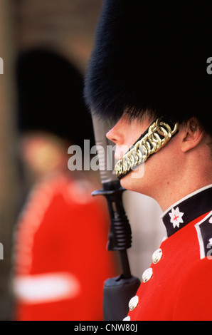 Inghilterra, Londra, Guardia al St.James's Palace Foto Stock