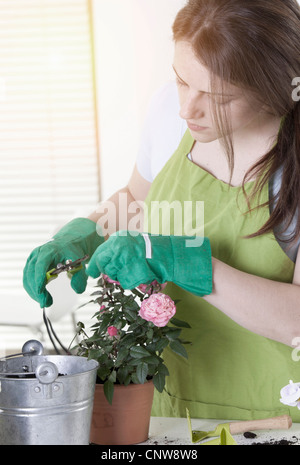 La donna la potatura di piante in vaso in interni Foto Stock