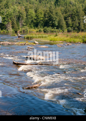 Tahquamenon Falls State Park e il fiume Tahquamenon nella Penisola Superiore del Michigan.. Foto Stock