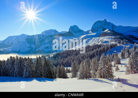 Vista da Gurnigel presso le Prealpi su Chrumfadeflue (2079 m), Nuenenen (2101 m), Gantrisch (2175 m) und Buerglen (2165 m.), le alpi Bernesi, Svizzera Foto Stock