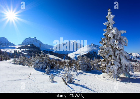 Vista da Gurnigel presso le Prealpi su Nuenenen (2101 m), Gantrisch (2175 m) und Buerglen (2165 m.), le alpi Bernesi, Svizzera Foto Stock