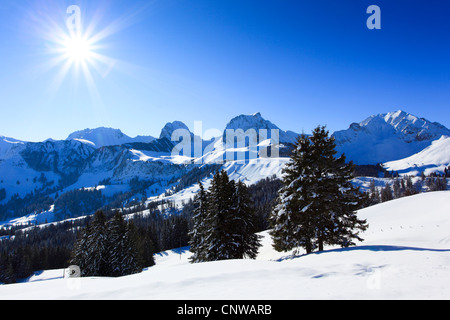 Vista da Gurnigel presso le Prealpi su Chrumfadeflue (2079 m), Nuenenen (2101 m), Gantrisch (2175 m) und Buerglen (2165 m.), le alpi Bernesi, Svizzera Foto Stock