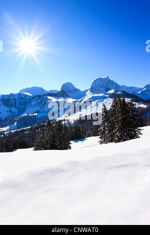 Vista da Gurnigel presso le Prealpi su Chrumfadeflue (2079 m), Nuenenen (2101 m), Gantrisch (2175 m) und Buerglen (2165 m.), le alpi Bernesi, Svizzera Foto Stock