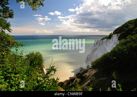 Moens Klint chalk cliffs, Danimarca, Moen, Moens Klint Foto Stock