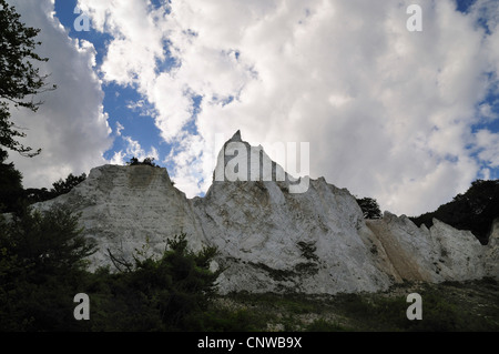 Moens Klint chalk cliffs, Danimarca, Moen, Moens Klint Foto Stock