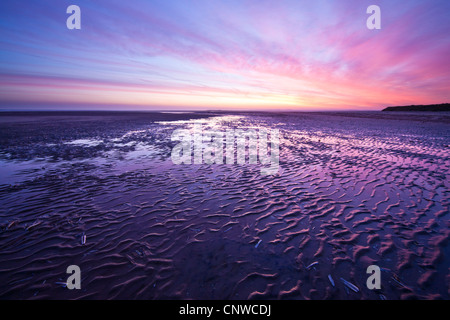 La mattina presto sunrise crea una vivida cielo rosa riflessa nell'acqua piscine Thornham sulla spiaggia sulla costa di Norfolk, Regno Unito Foto Stock
