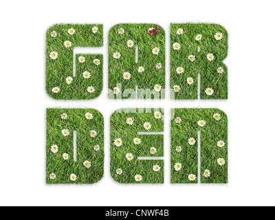 Giardino parola formata da erba con fiori e butterfly isolato su bianco Foto Stock