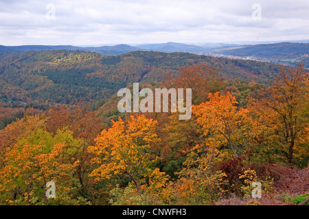 Vista dal castello di Wartburg per Foresta Turingia, Germania, Thueringen, Wartburg, Eisenach Foto Stock