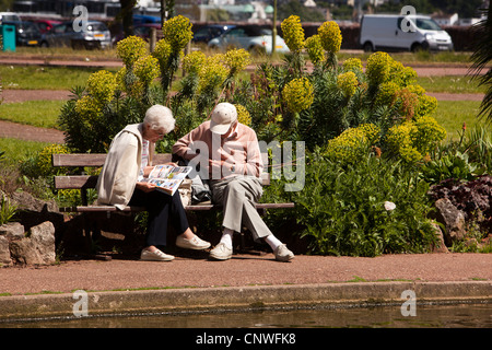 Regno Unito, Inghilterra, Devon, Torquay, Kings Gardens, coppia di anziani giornale di lettura nella luce del sole Foto Stock