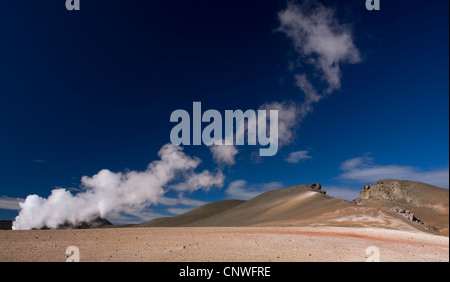 Campo della solfatara vicino Reykjahlid, Islanda, Myvatn, Reykjahlid Foto Stock