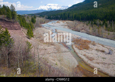 Vista di Cameron Creek, Canada, Alberta, Parco Nazionale dei laghi di Waterton Foto Stock