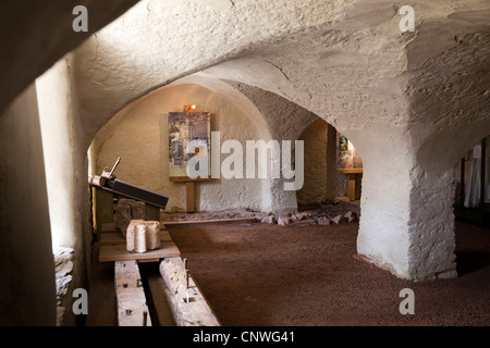 Regno Unito, Inghilterra, Devon, Torquay, Torre Abbey undercroft, parte superstite del borgo medievale di edificio monastico Foto Stock
